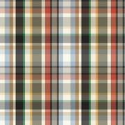Samuel Wallpaper by Painted Hawk Design