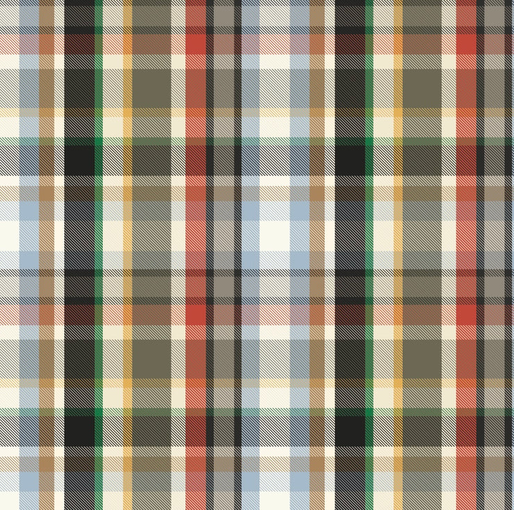 Samuel Wallpaper by Painted Hawk Design