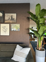 Savile Row Wallpaper by Safari Natalia x Taddy Mikelaites