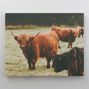 Ferdinand Canvas